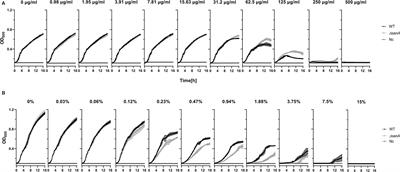 Membrane properties modulation by SanA: implications for xenobiotic resistance in Salmonella Typhimurium